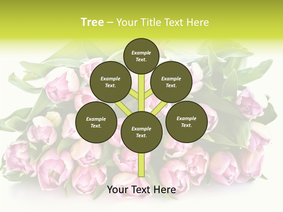 Bloom Isolated Blossom PowerPoint Template