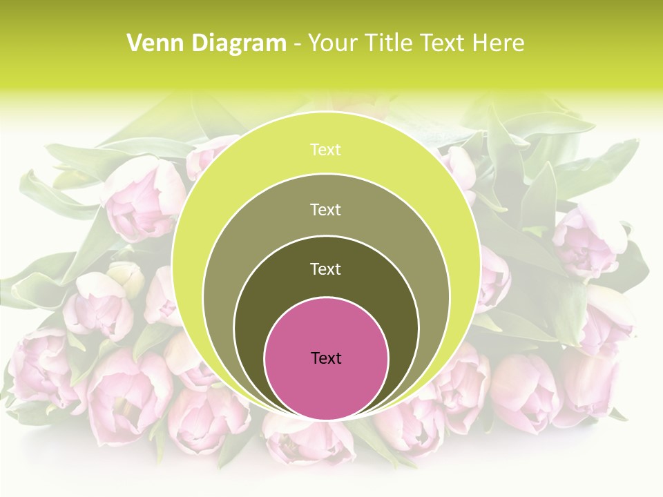 Bloom Isolated Blossom PowerPoint Template
