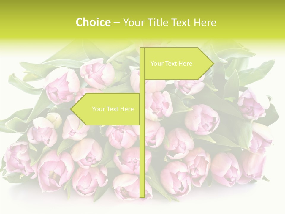 Bloom Isolated Blossom PowerPoint Template