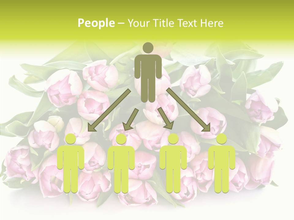 Bloom Isolated Blossom PowerPoint Template