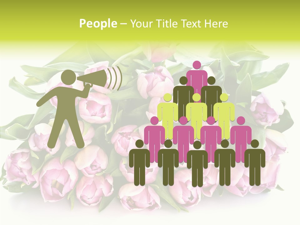 Bloom Isolated Blossom PowerPoint Template