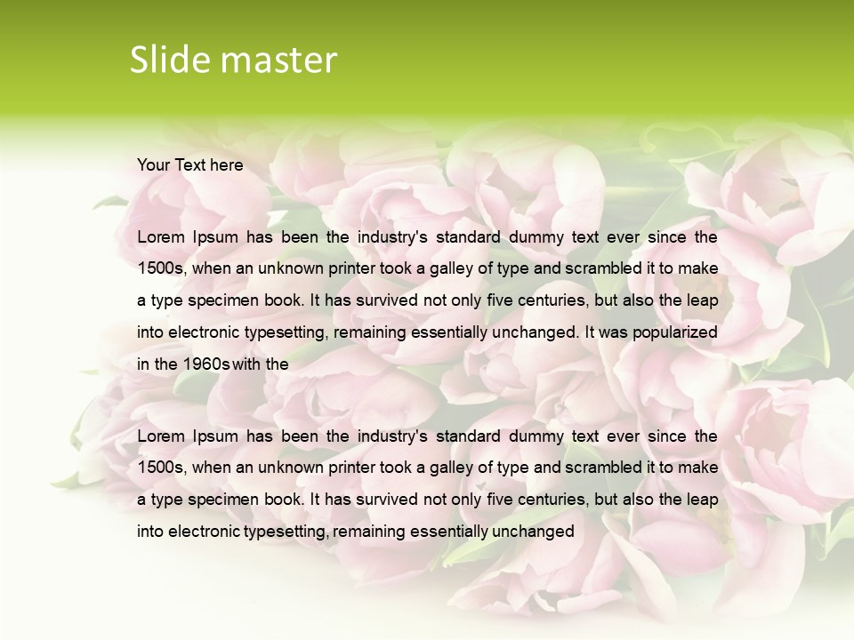 Background Gorgeous White PowerPoint Template