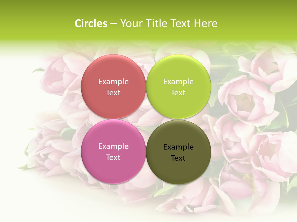 Background Gorgeous White PowerPoint Template