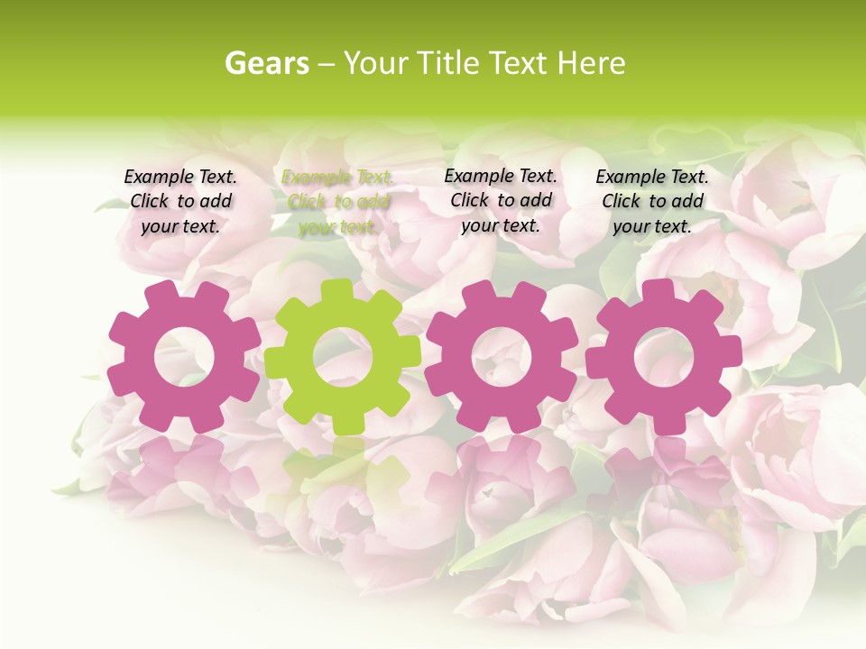 Background Gorgeous White PowerPoint Template