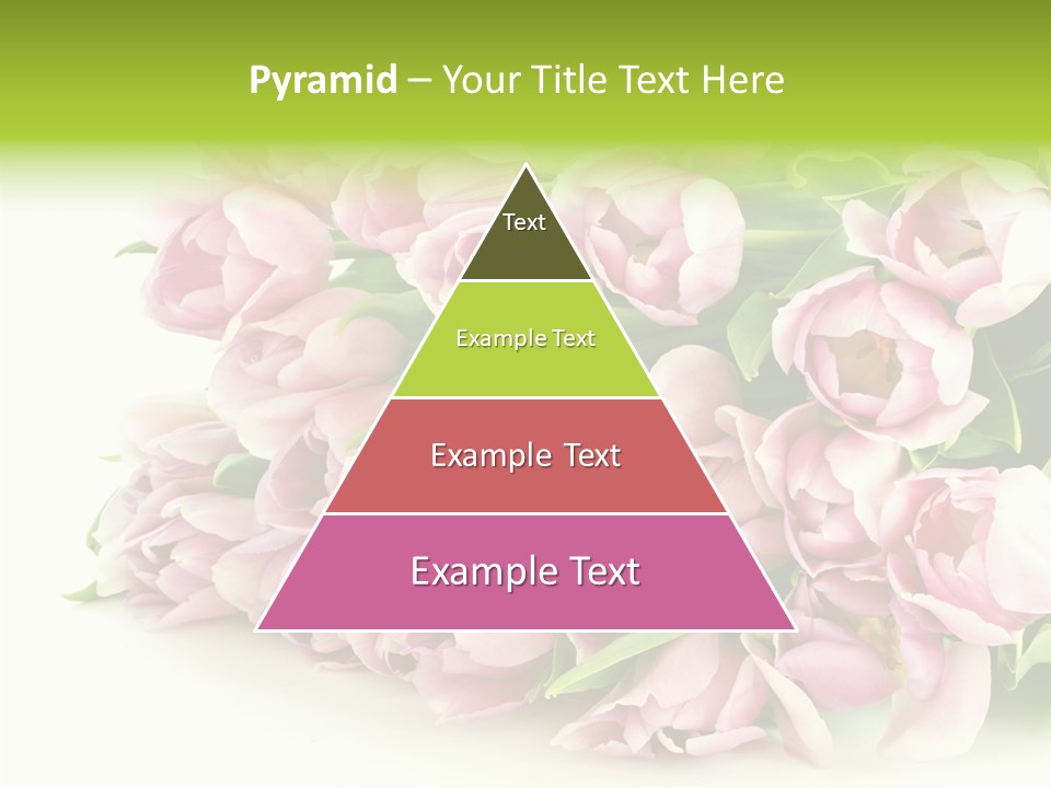 Background Gorgeous White PowerPoint Template