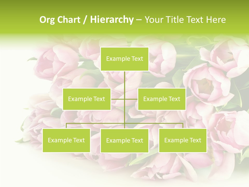 Background Gorgeous White PowerPoint Template