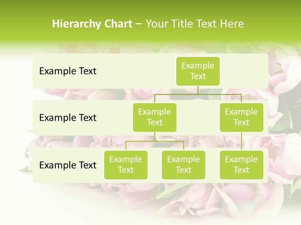Background Gorgeous White PowerPoint Template