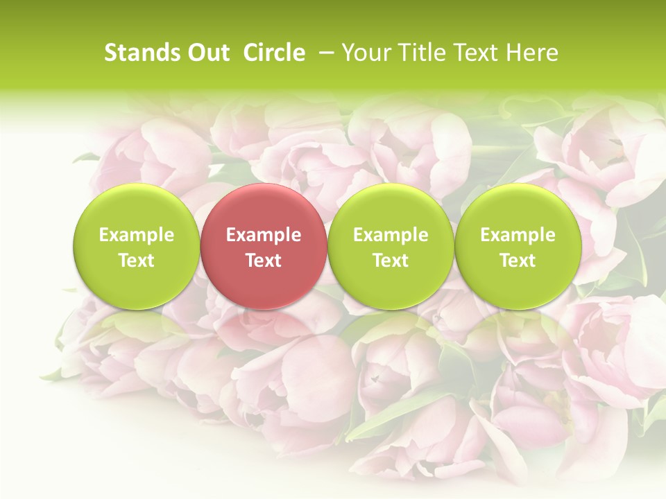 Background Gorgeous White PowerPoint Template