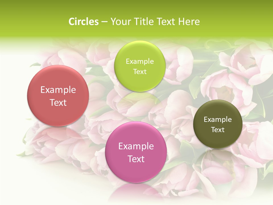 Background Gorgeous White PowerPoint Template