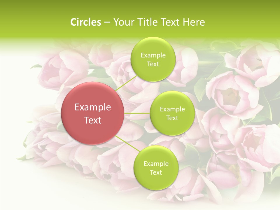 Background Gorgeous White PowerPoint Template