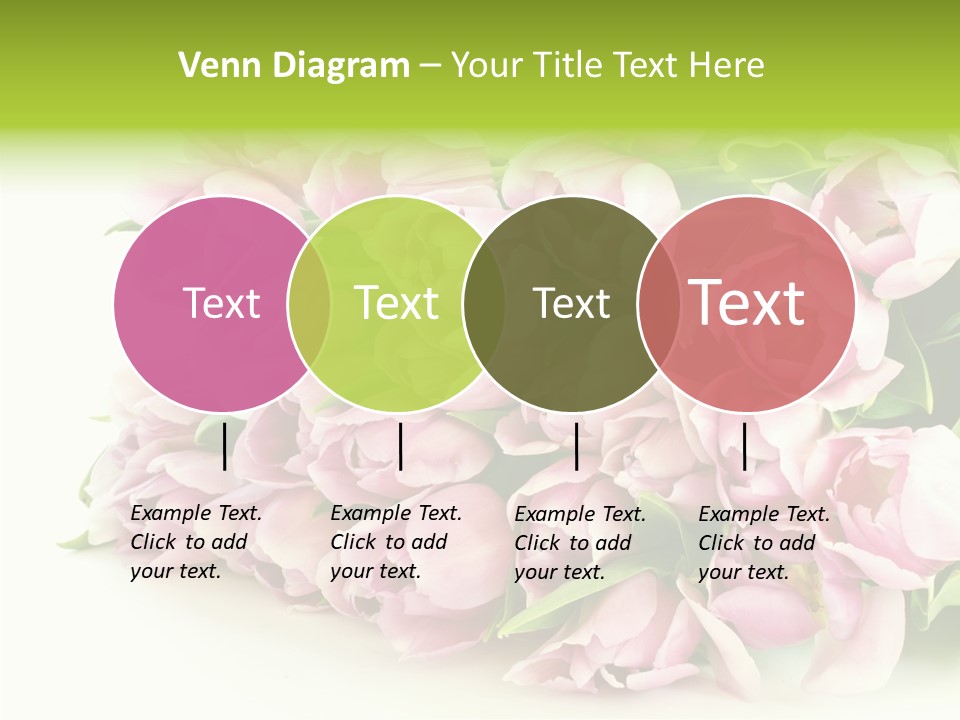 Background Gorgeous White PowerPoint Template