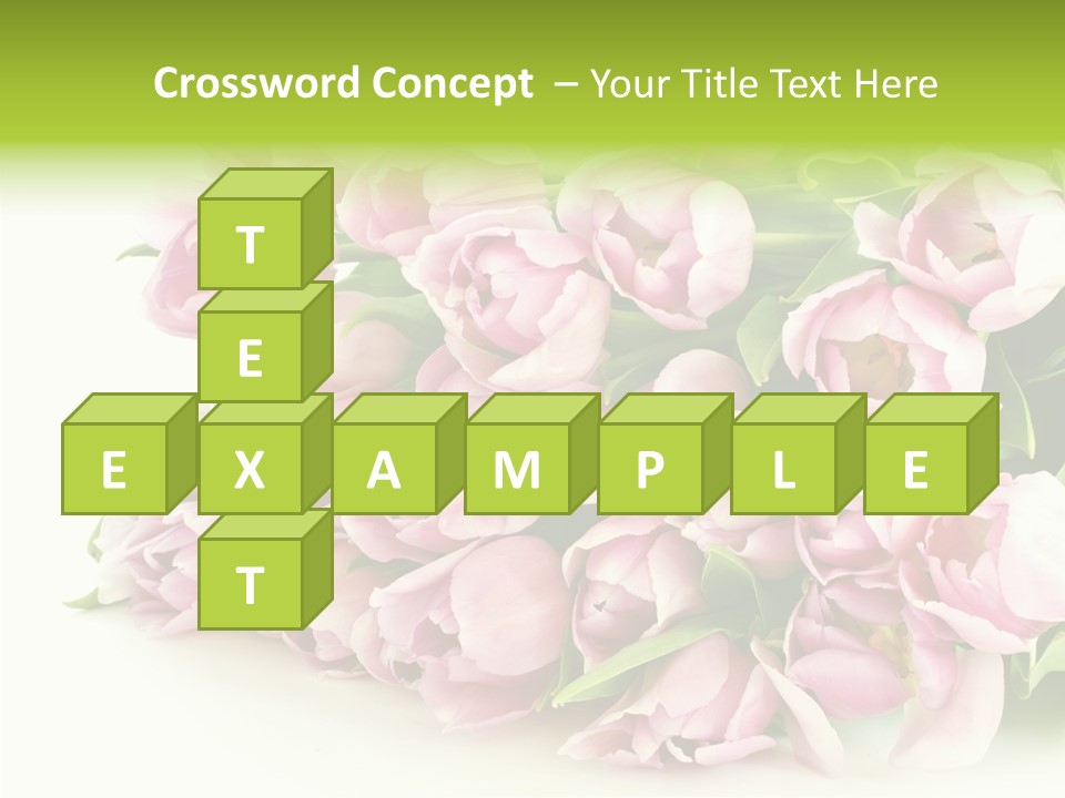 Background Gorgeous White PowerPoint Template