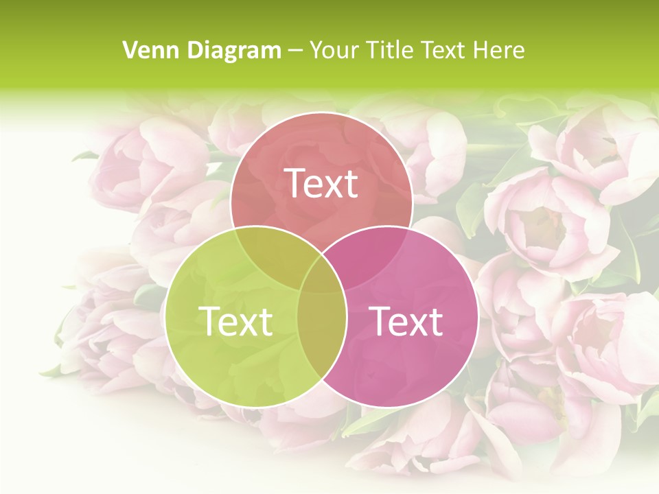 Background Gorgeous White PowerPoint Template