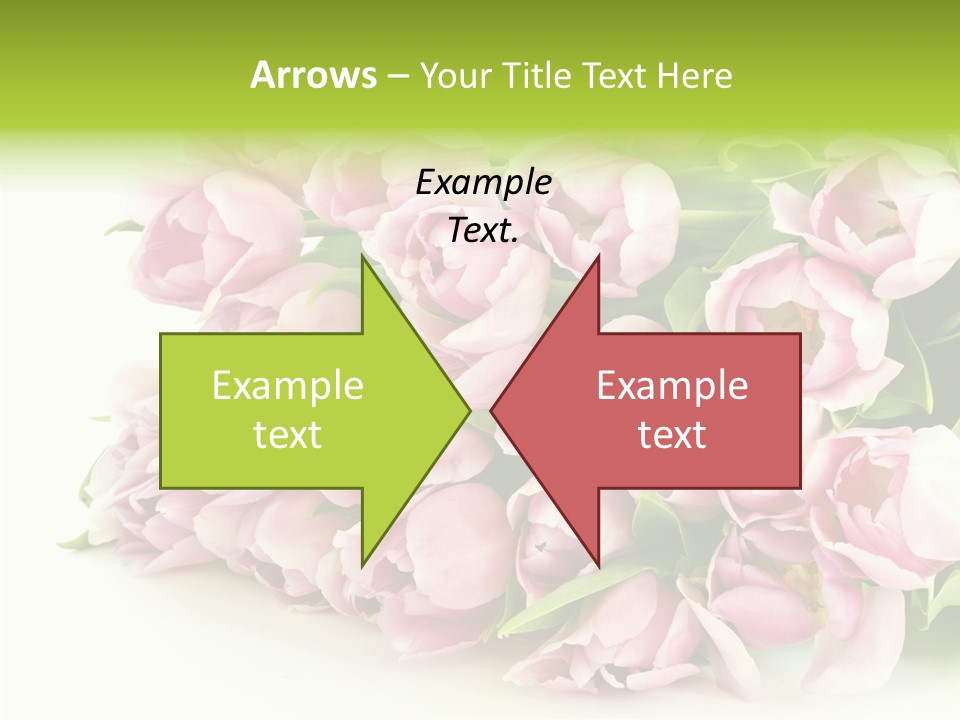 Background Gorgeous White PowerPoint Template