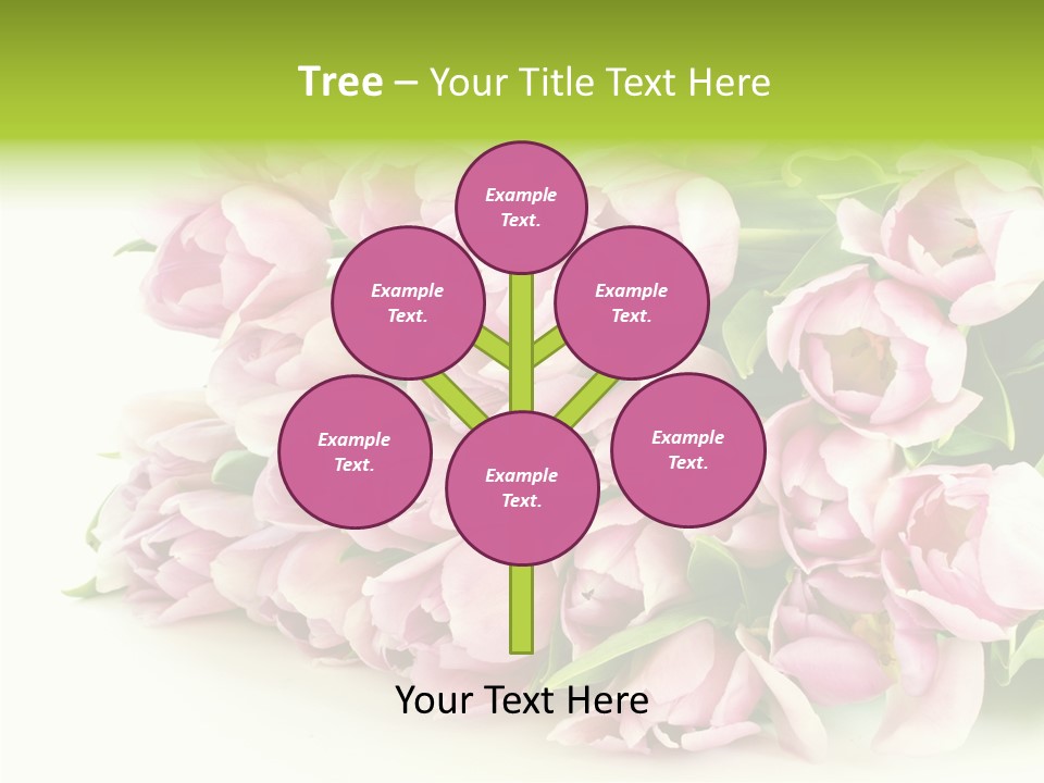 Background Gorgeous White PowerPoint Template