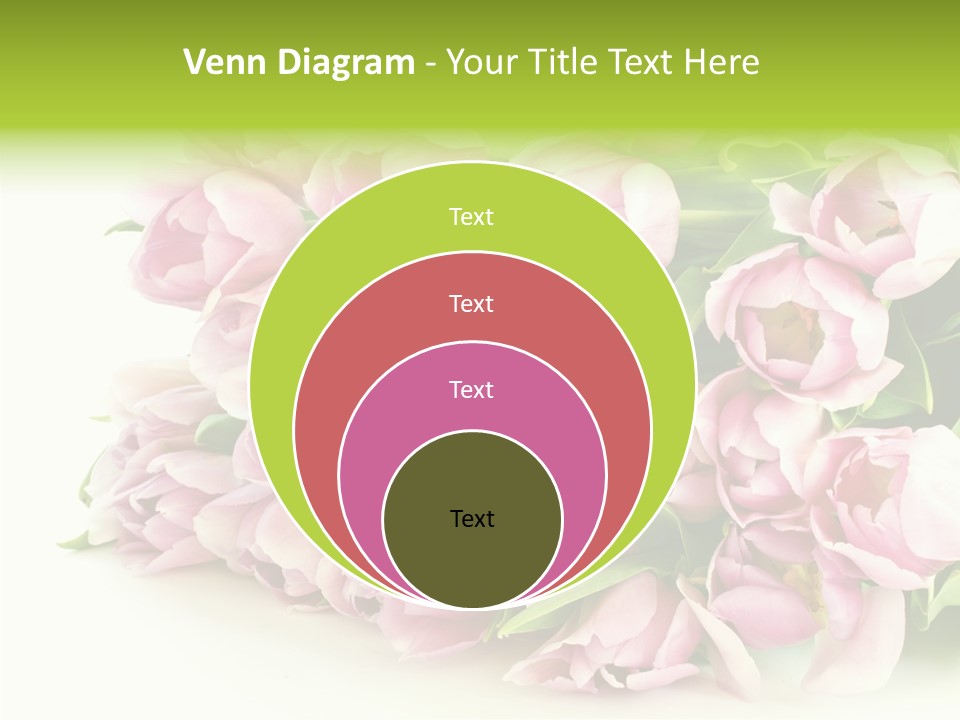 Background Gorgeous White PowerPoint Template