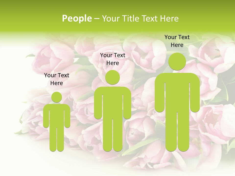 Background Gorgeous White PowerPoint Template