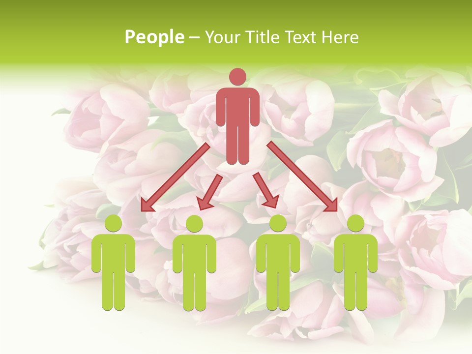 Background Gorgeous White PowerPoint Template