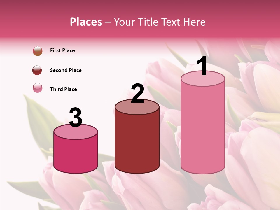 Your Flower Colorful PowerPoint Template
