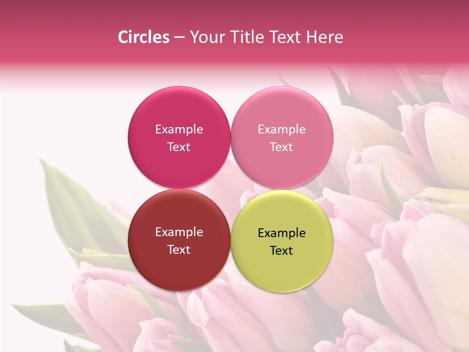 Your Flower Colorful PowerPoint Template