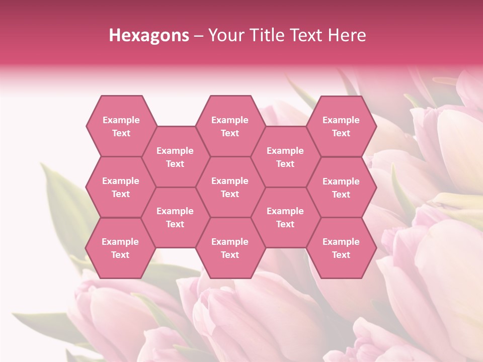 Your Flower Colorful PowerPoint Template