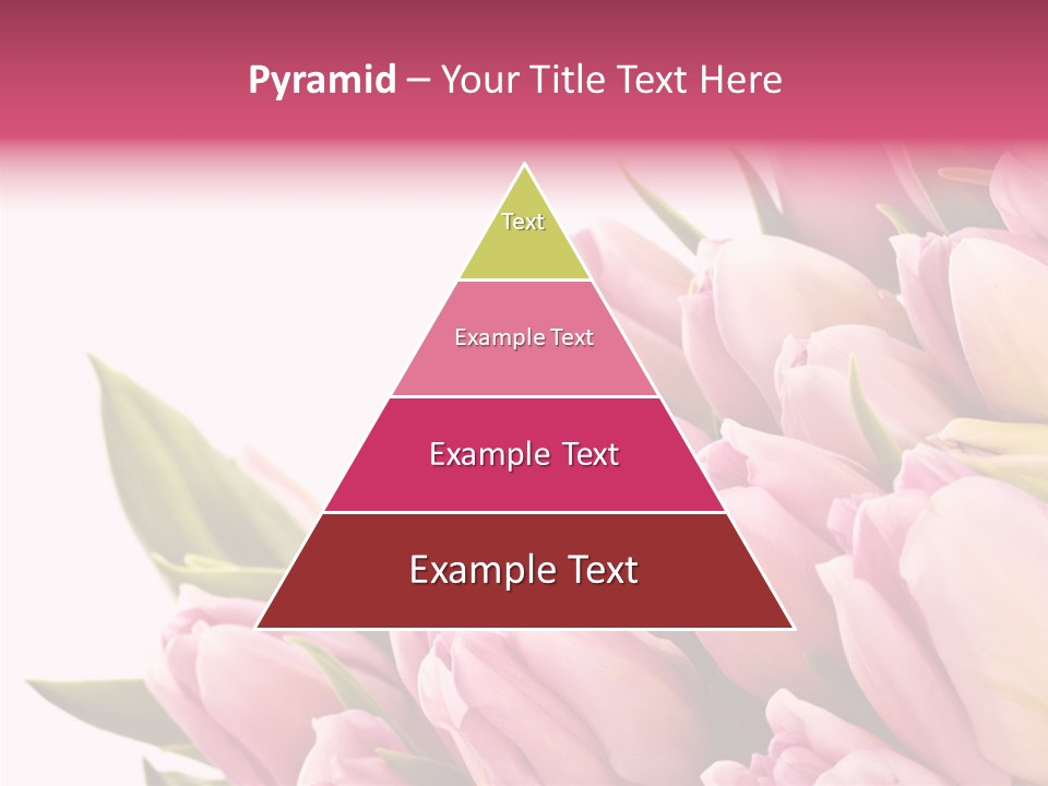 Your Flower Colorful PowerPoint Template