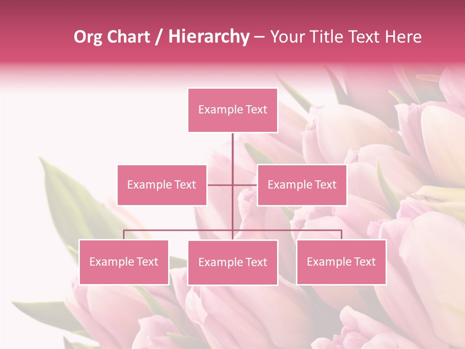 Your Flower Colorful PowerPoint Template