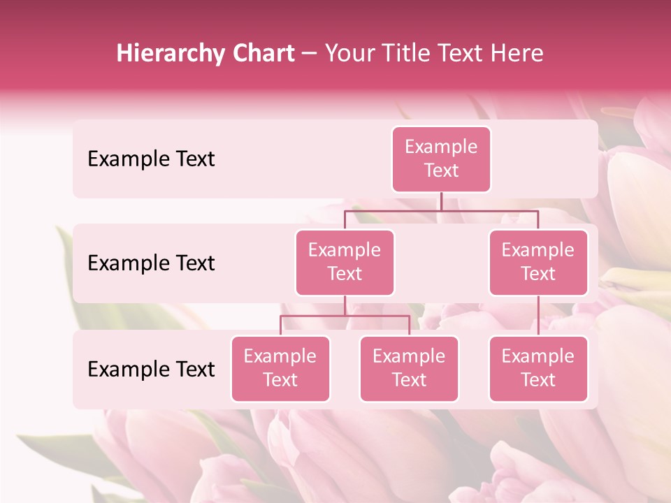 Your Flower Colorful PowerPoint Template