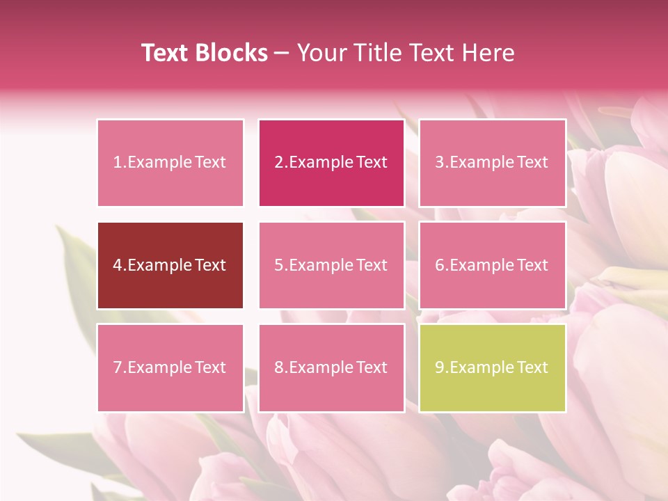 Your Flower Colorful PowerPoint Template
