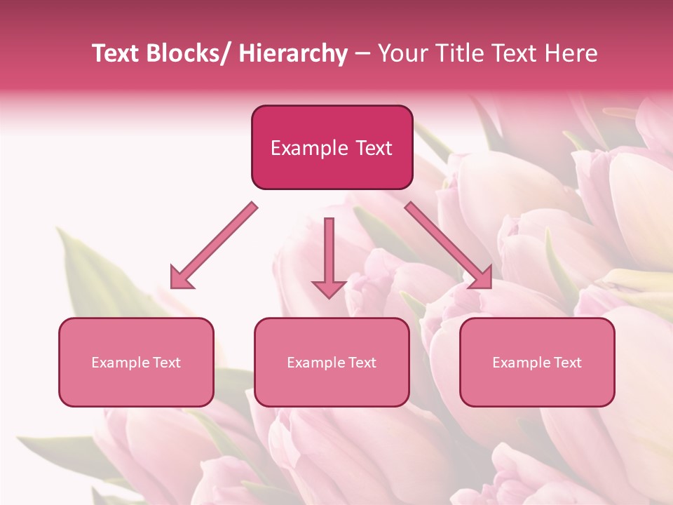 Your Flower Colorful PowerPoint Template