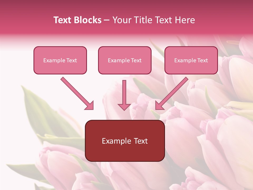 Your Flower Colorful PowerPoint Template