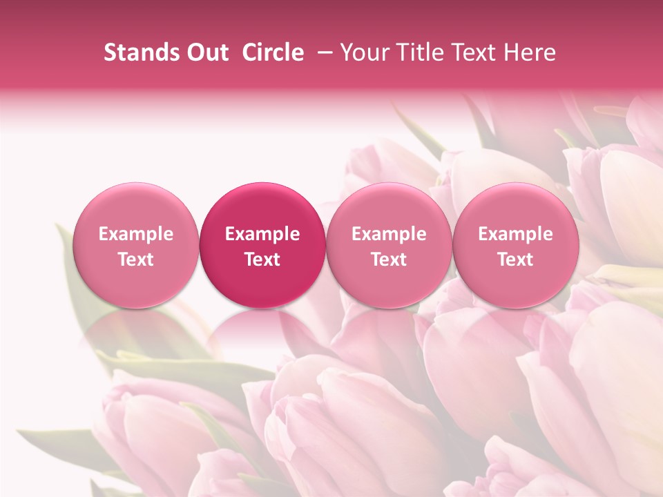 Your Flower Colorful PowerPoint Template