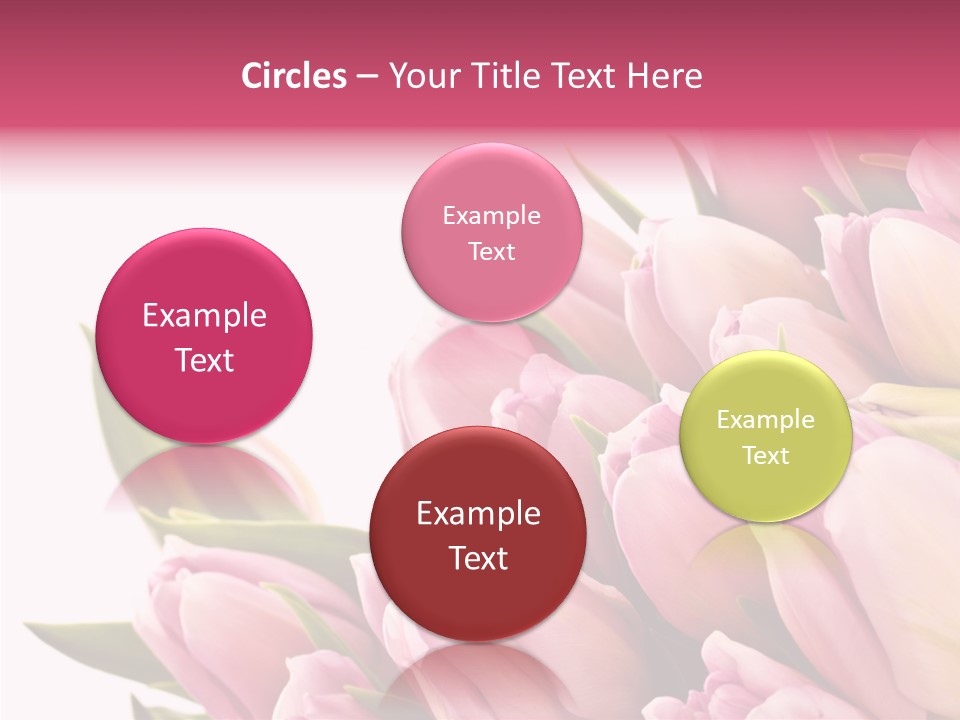 Your Flower Colorful PowerPoint Template