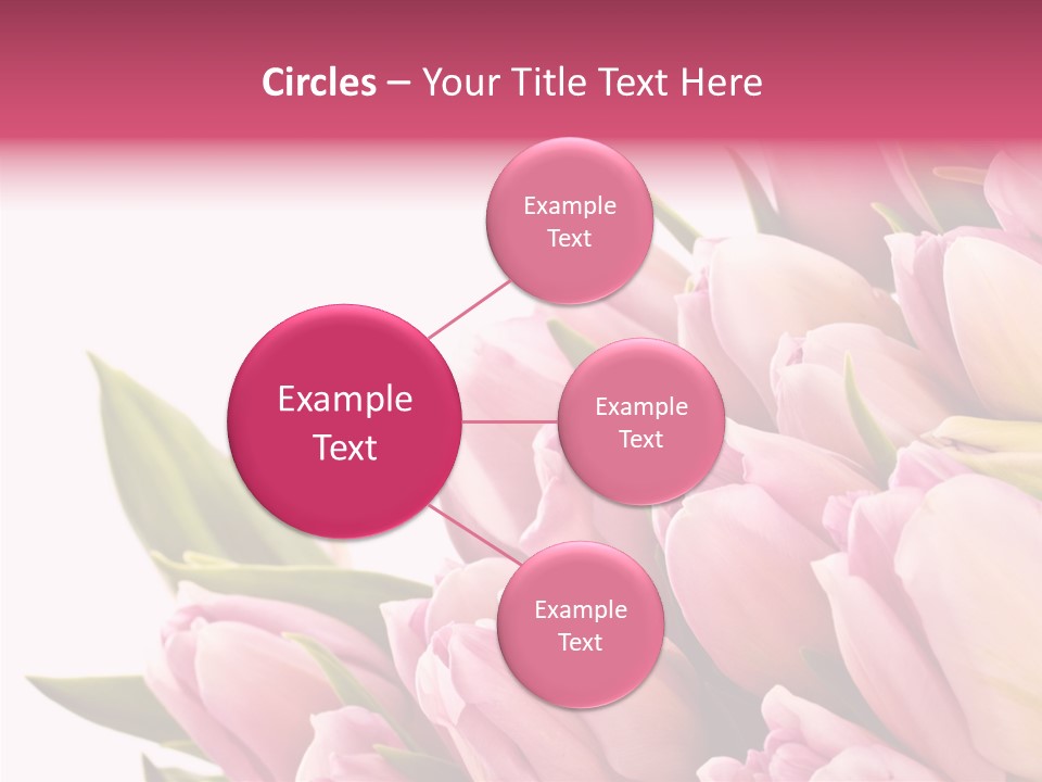 Your Flower Colorful PowerPoint Template