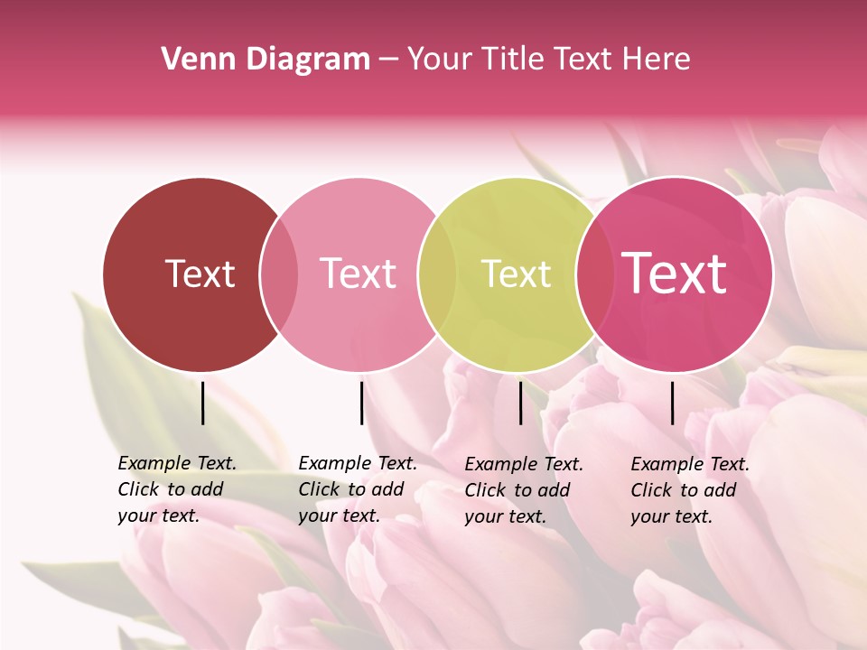 Your Flower Colorful PowerPoint Template