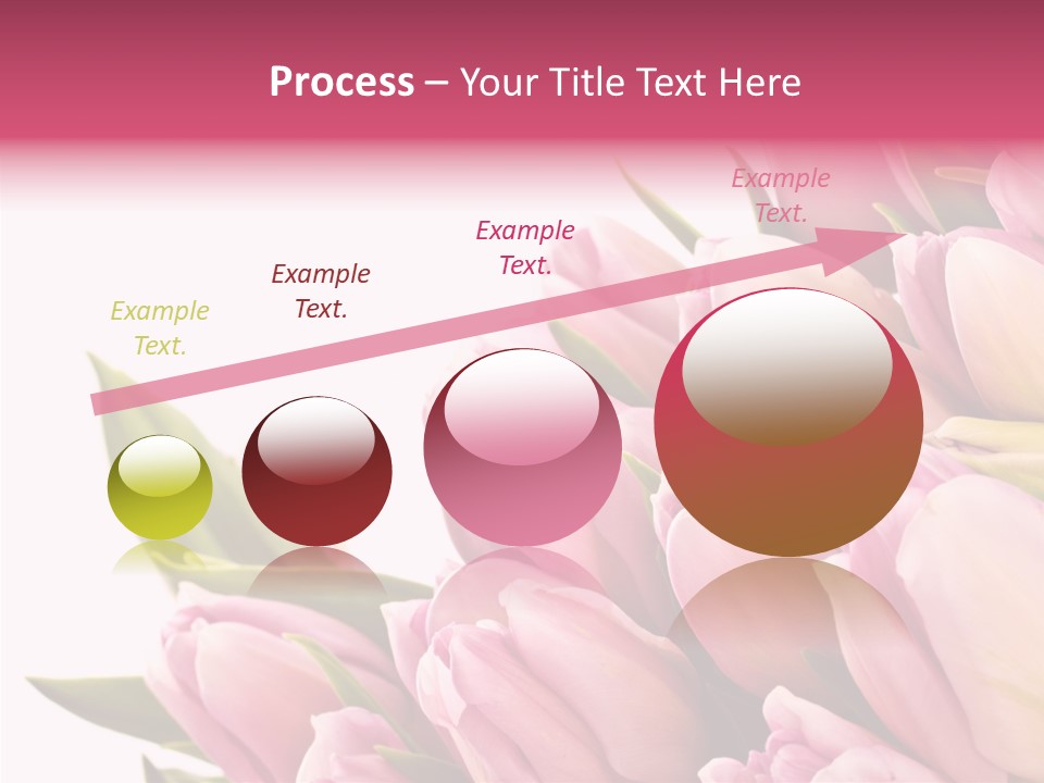 Your Flower Colorful PowerPoint Template