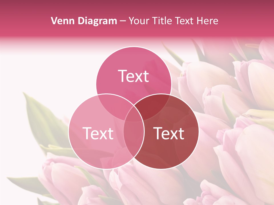 Your Flower Colorful PowerPoint Template