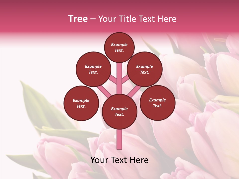 Your Flower Colorful PowerPoint Template