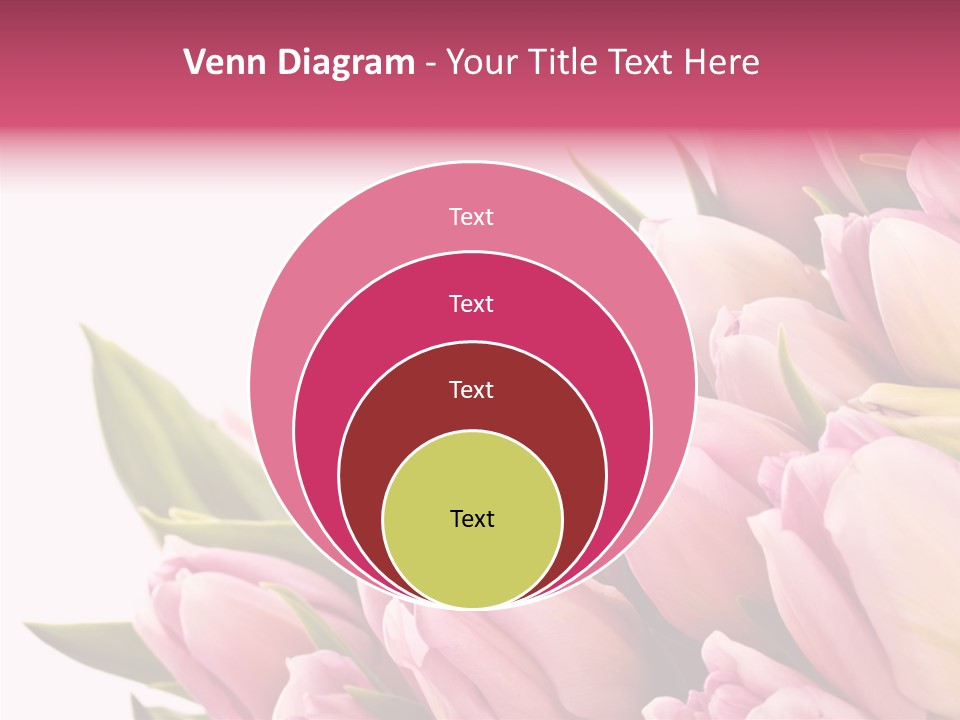 Your Flower Colorful PowerPoint Template