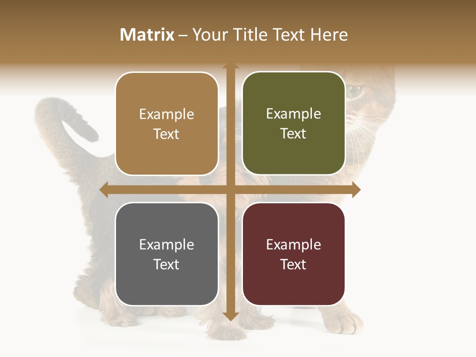 Single Childhood Purr PowerPoint Template