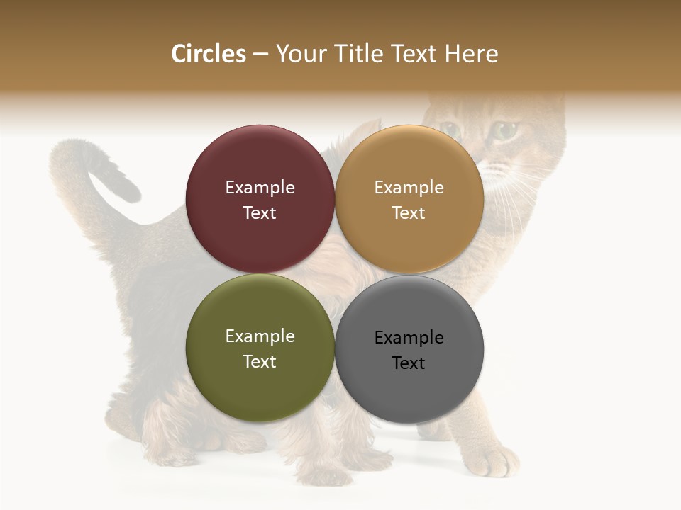 Single Childhood Purr PowerPoint Template