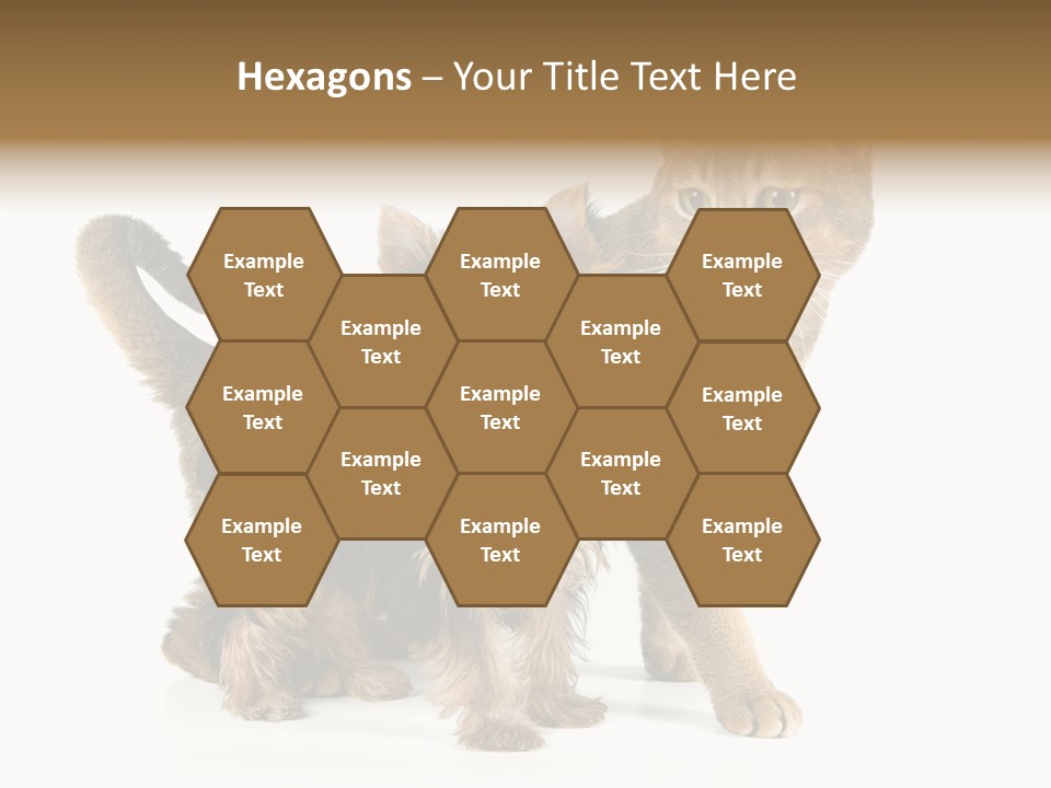 Single Childhood Purr PowerPoint Template