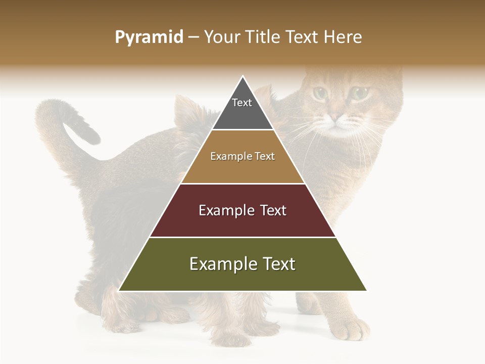 Single Childhood Purr PowerPoint Template