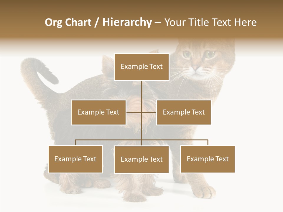 Single Childhood Purr PowerPoint Template