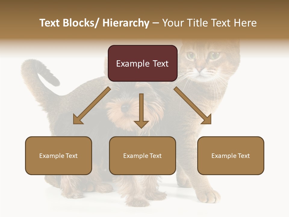 Single Childhood Purr PowerPoint Template