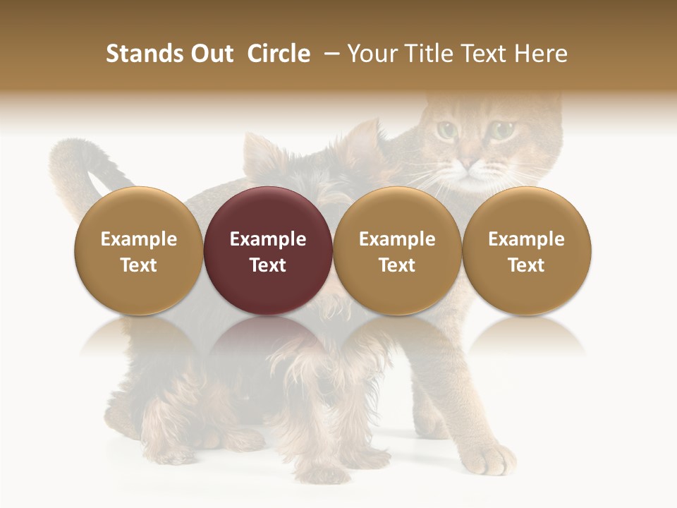 Single Childhood Purr PowerPoint Template