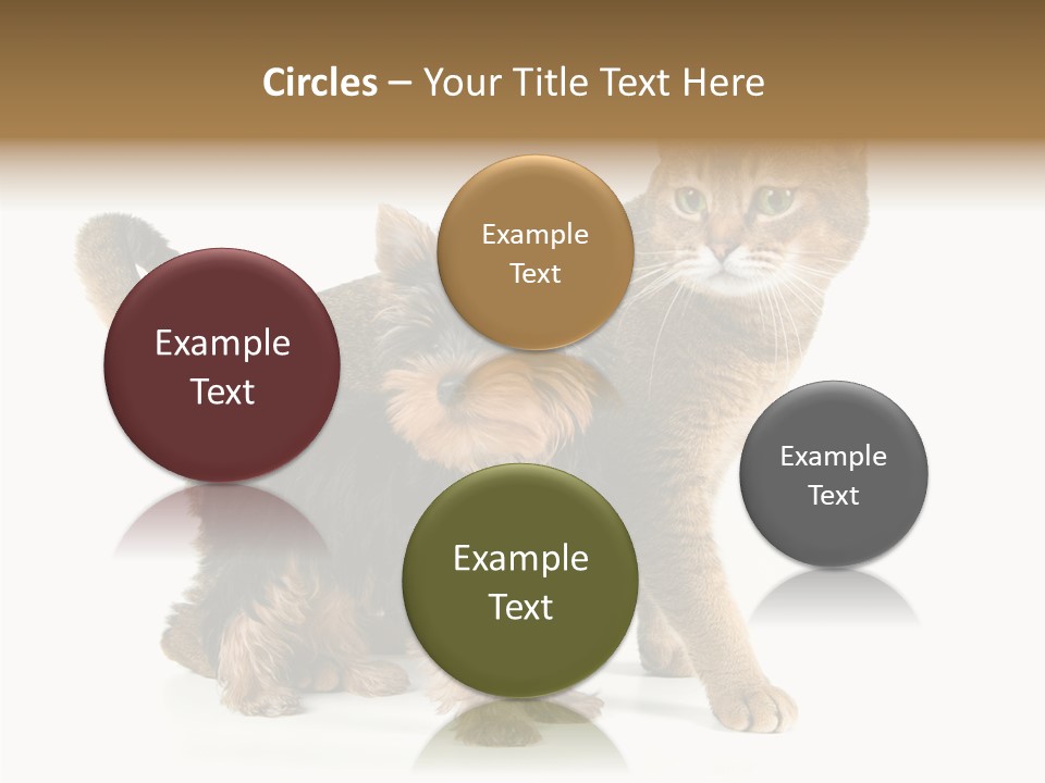 Single Childhood Purr PowerPoint Template