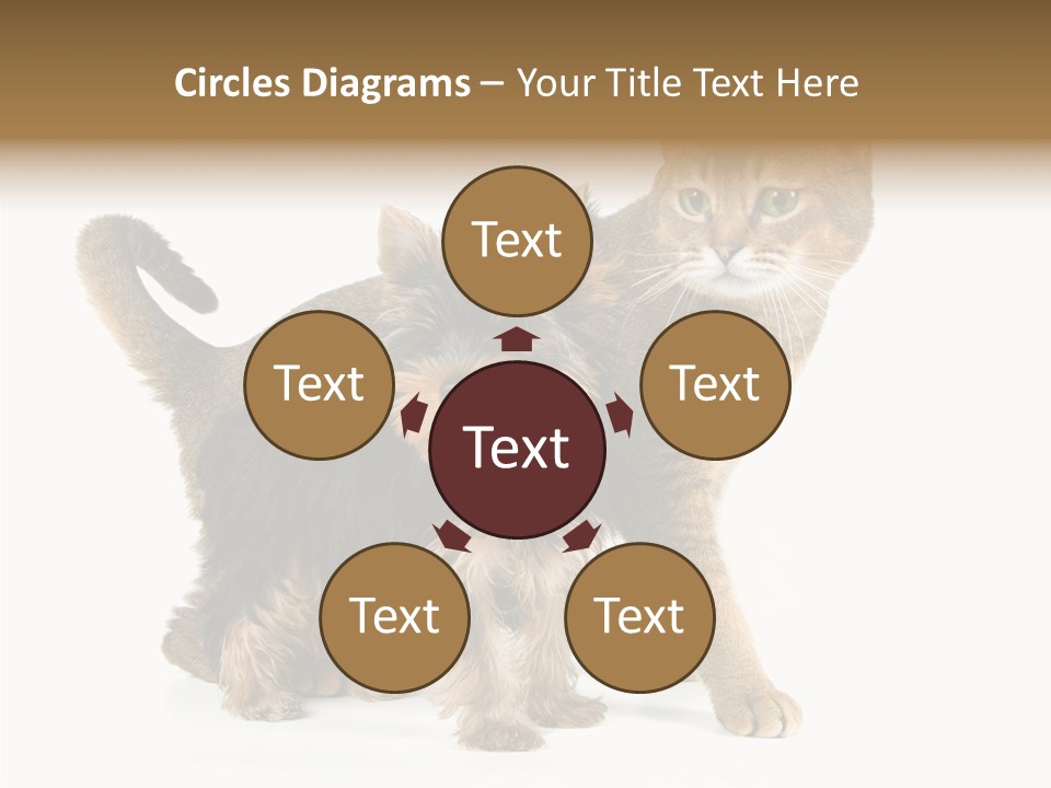 Single Childhood Purr PowerPoint Template