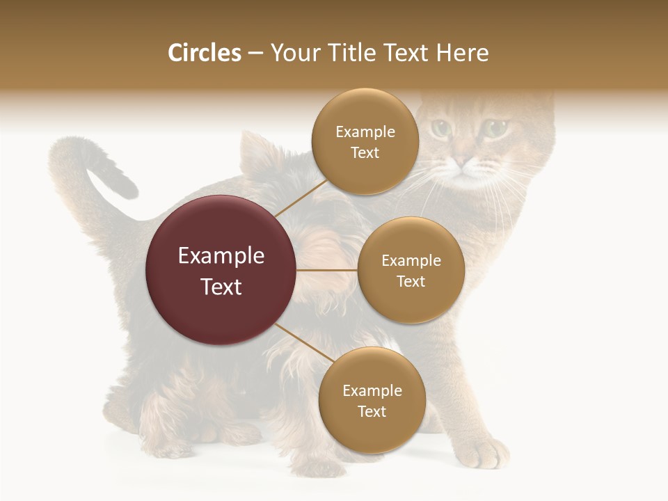 Single Childhood Purr PowerPoint Template