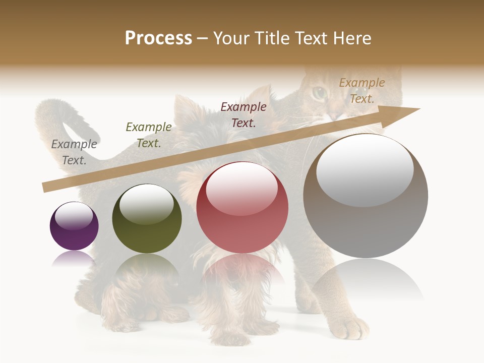 Single Childhood Purr PowerPoint Template